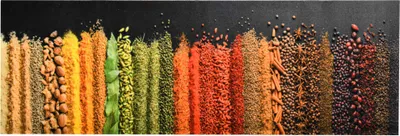 Produktbild von vidaXL Küchenbodenmatte Waschbar Gewürze 60x180 cm