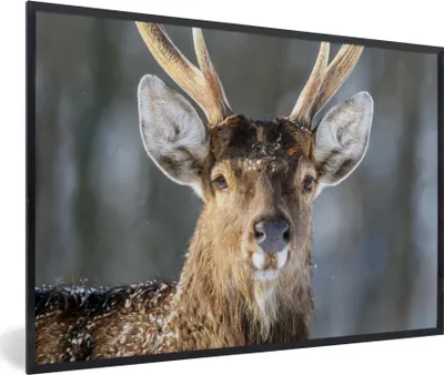 Produktbild von MuchoWow® MuchoWow® Gerahmtes Poster Hirschgeweih Braun Weiß 60x40 cm - Poster mit zchwarzem Bilderrahmen - Printing - Wanddeko Schlafzimmer