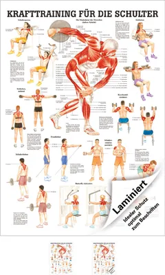 Produktbild von Mini-Poster Krafttraining Schulter, LxB 34x24 cm