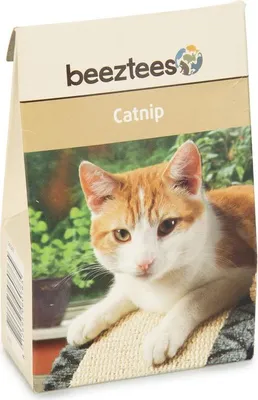 Image de Herbe À Chat En Kartonbox 20 Grammes