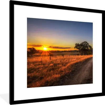 Produktbild von MuchoWow® Gerahmtes Poster Sonne - Gras - Baum - Natur 40x40 cm - Poster mit Schwarzem Bilderrahmen Wandposter Rahmen Foto Bilder - Poster - Plakat im Rahmen