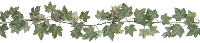 Immagine prodotto di Clayre & Eef, fiore artificiale, verde, plastica