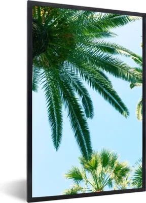 Produktbild von MuchoWow® Gerahmtes Poster Palmwedel - Himmel - Sommer - Tropisch 40x60 cm - Poster mit Schwarzem Bilderrahmen Wandposter Rahmen Foto Bilder - Papierdruck - Wandbilder