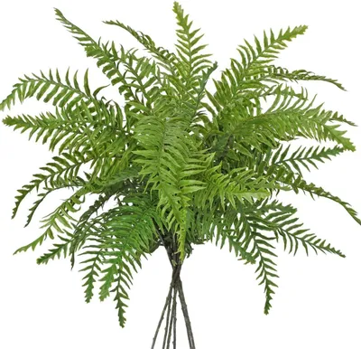 Immagine prodotto di Ramo di felce artificiale Pianta di felce di Boston 76 cm pianta artificiale Flora 3 rami
