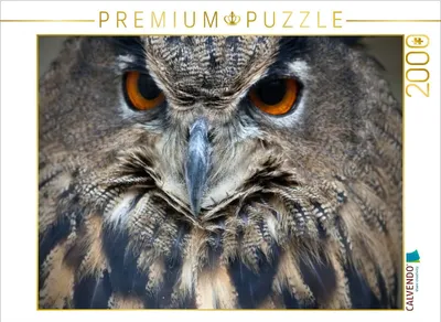Produktbild von CALVENDO Puzzle Eule 2000 Teile Puzzle quer | 2000 Teile Lege-Größe 90x67cm Foto-Puzzle für glückliche Stunden