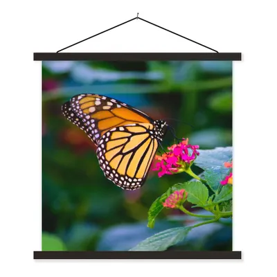 Produktbild von MuchoWow® Textilposter Schmetterlinge - Blume - Natur 120x120 cm mit schwarzem Rahmen - Aufhängungsset