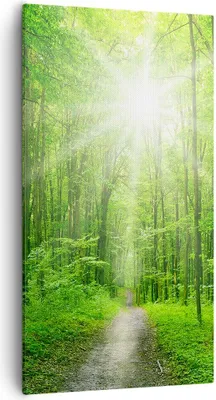 Produktbild von Bild auf Leinwand - Leinwandbild - Sonnenstrahlen Wald Sommer - 55x100cm - Wand Bild - Wanddeko - Leinwanddruck - Bilder - Kunstdruck - Wanddekoration - Leinwand bilder - Wandkunst - PA55x100-2689