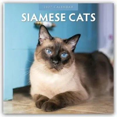 Image de Chats siamois - Siamkatzen - Chats siamois. Calendrier de 16 mois, année 2027