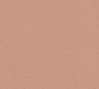 Produktbild von Karl Lagerfeld Wallpaper Designertapete Plain einfarbige Tapete unifarben Vliestapete orange 10,05 m x 0,53 m