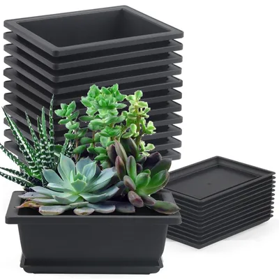 Productafbeelding van Set van 12 bonsai-trainingspotten met schaaltjes