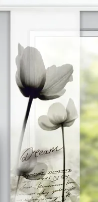 Produktbild von Neusser Collection Flächenvorhang Dream taupe, 60 x 280 cm