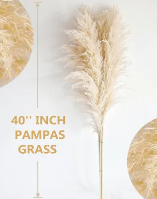 Obrázok produktu pre Dekorácia z pampovej trávy 102 cm, 10 stoniek, béžová a hnedá, pre obývaciu izbu