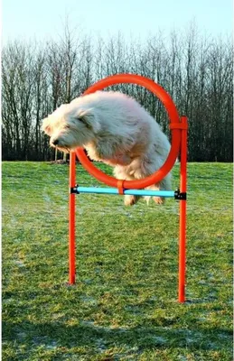 Image de Cerceau d'agilité pour chiens TRIXIE, 115 x 3 cm, Plastique, Parcours d'entraînement