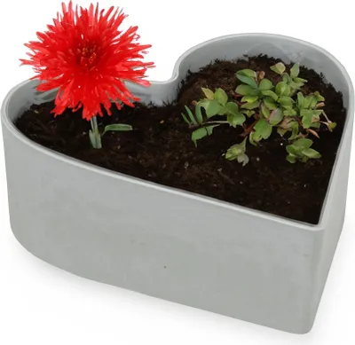 Produktbild von Herz Pflanzschale Vintage hell-grau 22 x 20 cm Grabschmuck