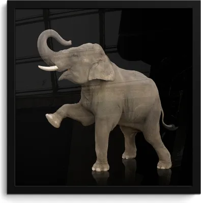 Produktbild von MuchoWow® MuchoWow® Gerahmtes Poster Elefant - Tiere - Schwarz - Porträt 40x40 cm - Poster mit zchwarzem Bilderrahmen - Mit Rahmen - Wanddekoration Schlafzimmer