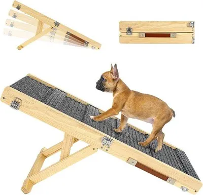 Produktbild von Famanu Hundenrampe Tragbar - 4 Verstellbare Höhen, Faltbar, Stabil für Kleine und Mittelgroße Hunde und Katzen