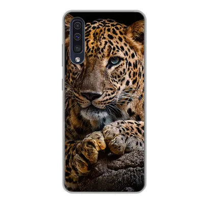 Produktbild von MuchoWow® Handyhülle Schutzhülle Hülle für Samsung Galaxy A50 Wildtiere - Panther - Porträt - Schwarz - Tiere Silikon Softcase Handy Hülle - Mobiltelefonhülle