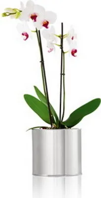 Produktbild von 1x BLOMUS Blumentopf "Greens" 18 cm Umtopf, Übertopf