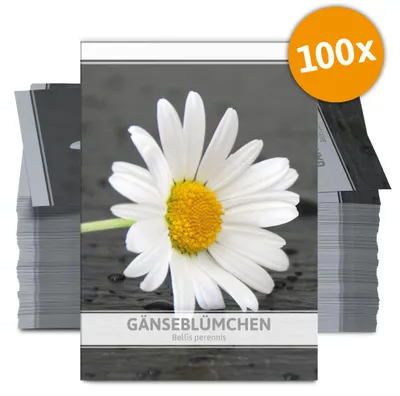 Artikelbild 2 von 'Gänseblümchen für Werbezwecke (100 Tütchen)' aus der Kategorie Vorteilspackungen