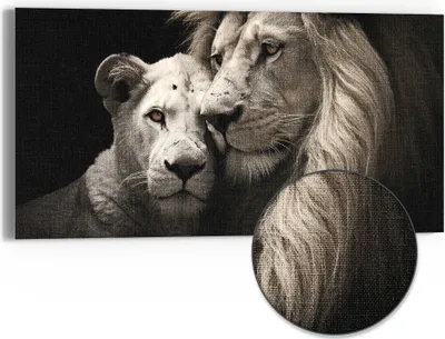 Produktbild von DEQORI Hybrid Leinwand Bild 60x30 cm 'Zarte Wildheit' Wandbild Glas flach modern