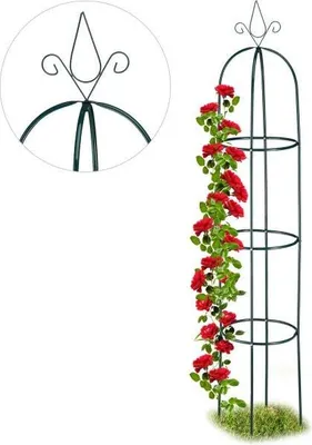 Immagine prodotto di Mucchio di obelisco rampicante