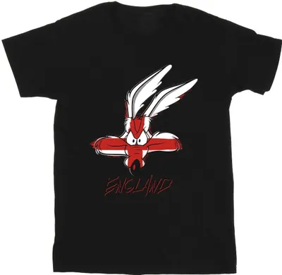 Obrázek produktu pro Looney Tunes - pánské tričko BI36089 (XXL) (černá)