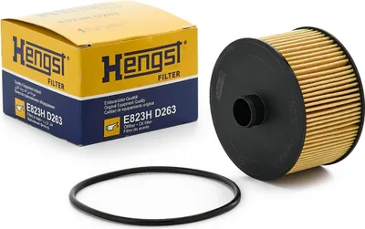 Image de Filtre à huile HENGST E823H D263