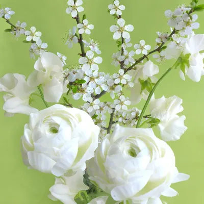 Produktbild von Braun & Company Servietten Motiv Green Spring 33 x 33 cm - 20er Pack