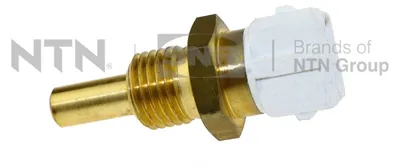 Image de capteur de température d'eau VAG