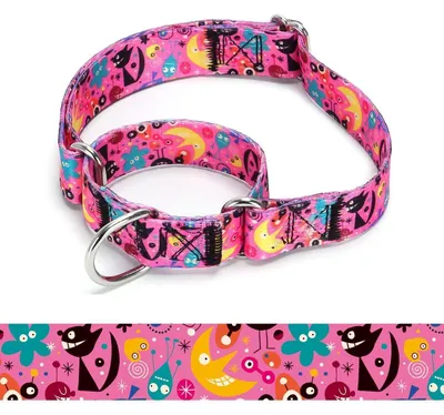 Zdjęcie produktu dla Obroża dla psa typu Martingale, nylonowa, regulowana, rozmiar L: 45-53 cm, model A85NO17
