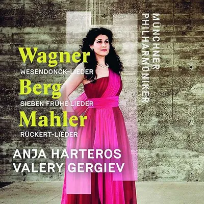 Produktbild von Orchesterlieder