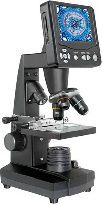 A digital microscope with a screen displaying a magnified image.