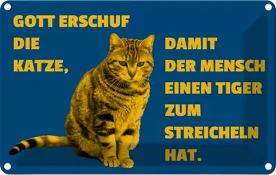 Produktbild von vianmo Blechschild 20x30 cm Katze Tiger zum streicheln Tier Haustier
