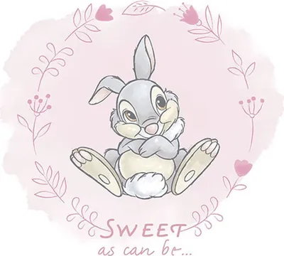 Image de Poster Disney Toc rose - 610111 - 40 x 50 cm