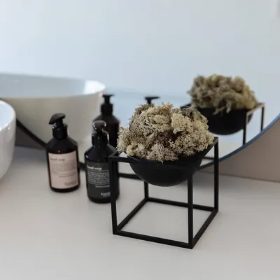 Produktbild von Reindeer Moss – Island Moos – Deko Moos in Natur, Pink, Lila, Orange, Rosa & Grün – 250g oder 500g – Natürliches, pflegeleichtes & luftreinigendes Dekomaterial – Für Wandbilder, Tischdeko & Pflanzenarrangements