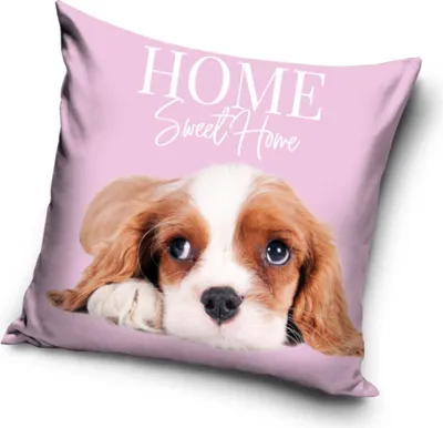 Immagine prodotto di Fodera per cuscino cane 40x40 cm
