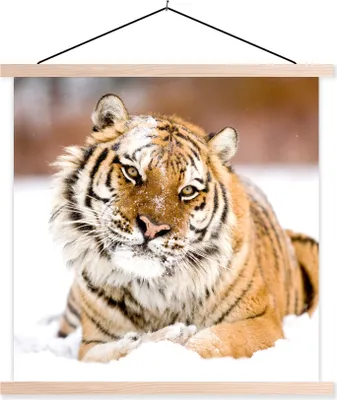 Produktbild von MuchoWow® Textilposter Tiger - Schnee - Weiß 60x60 cm mit holzfarbenen Rahmen - Wanddekoration