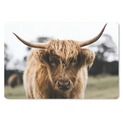 Produktbild von MuchoWow® Schreibtischunterlage Schottischer Highlander - Kuh - Gras - Tiere - Natur 60x40 cm - XXL Mauspad - Großes Mauspad