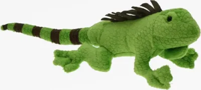 Produktbild von Cornelissen - Kuscheltier - Leguan - 35 cm
