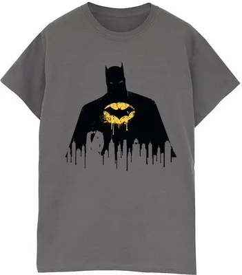 Obrázek produktu pro DC Comics - Pánské tričko BI14892 (L) (Charcoal)