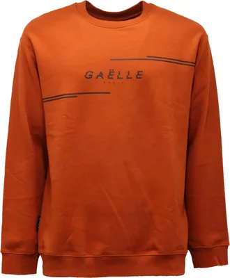 Immagine prodotto di 0360AT felpa uomo GAELLE man sweatshirt