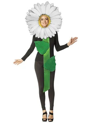 Produktbild von Gänseblümchen Kostüm