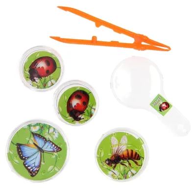 Produktbild von Bugs World Insektenbeobachtungsset, 5-teilig