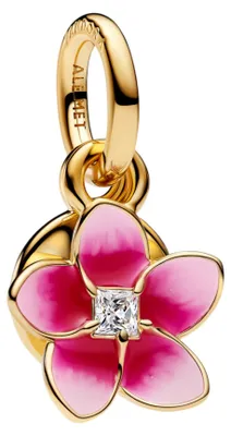 Produktbild von Pandora Jewelry Mod. 763845C01