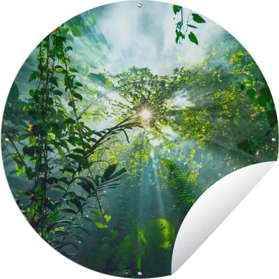 Produktbild von MuchoWow® Gartenposter Outdoor-Poster Rund Die Sonne scheint durch die Wälder eines Regenwaldes in Malaysia Ø 60 cm Gartendeko Rundes Poster draußen