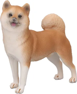 Obrázok produktu pre Realistický model psa, vysoká simulácia, zvieracia figúrka, hračka do zbierky, dekorácia, Shiba Inu