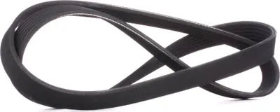 Produktbild von RIDEX Keilrippenriemen 1264mm für VW Golf IV Schrägheck (1J1) 305P0406