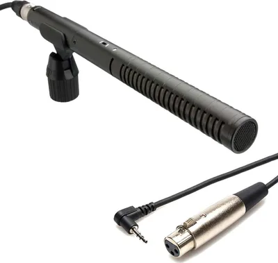 Image de Microphone Rode NTG-2 avec Hosa Microphonecable