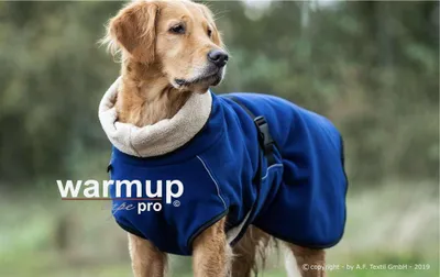 Produktbild von Warmup Cape Pro dark blue XXL (77cm)