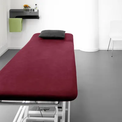 A medical or massage table with a burgundy cover and a gray pillow, in a clean room with a shelf holding towels and a flower.